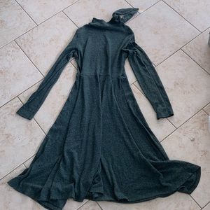 Long sleeve, turtle neck, dark green long dress. From Zara, size medium.
